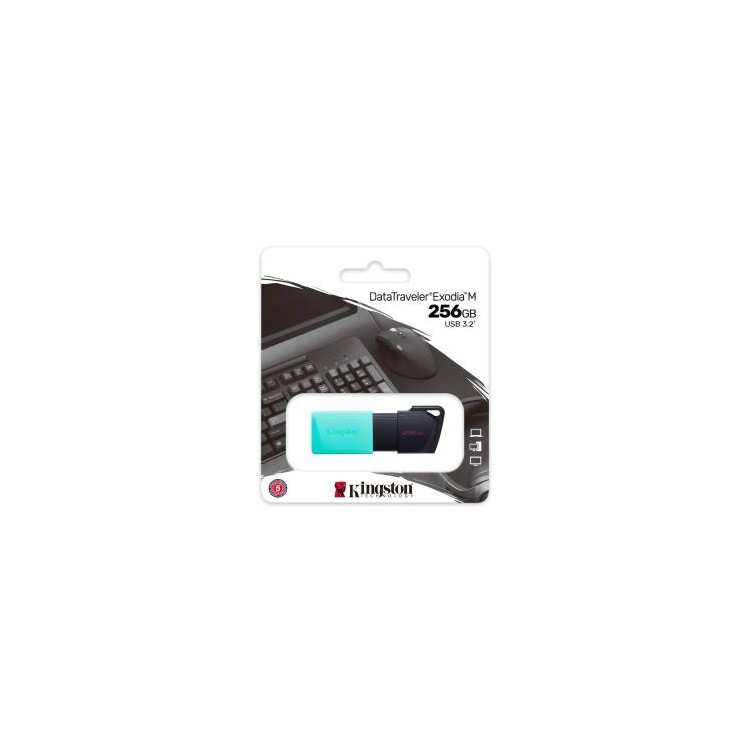 Kingston Pendrive USB-A 3.2 256GB DTXM/256GB Nero/Azzurro