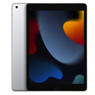 Apple iPad 9th Gen 10.2" (2021) 256GB WiFi - Grado A/A-